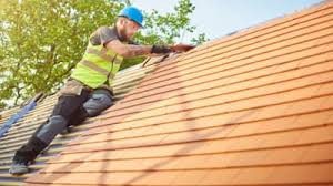 Best Roof Maintenance and Cleaning  in Cedar Bluff, VA